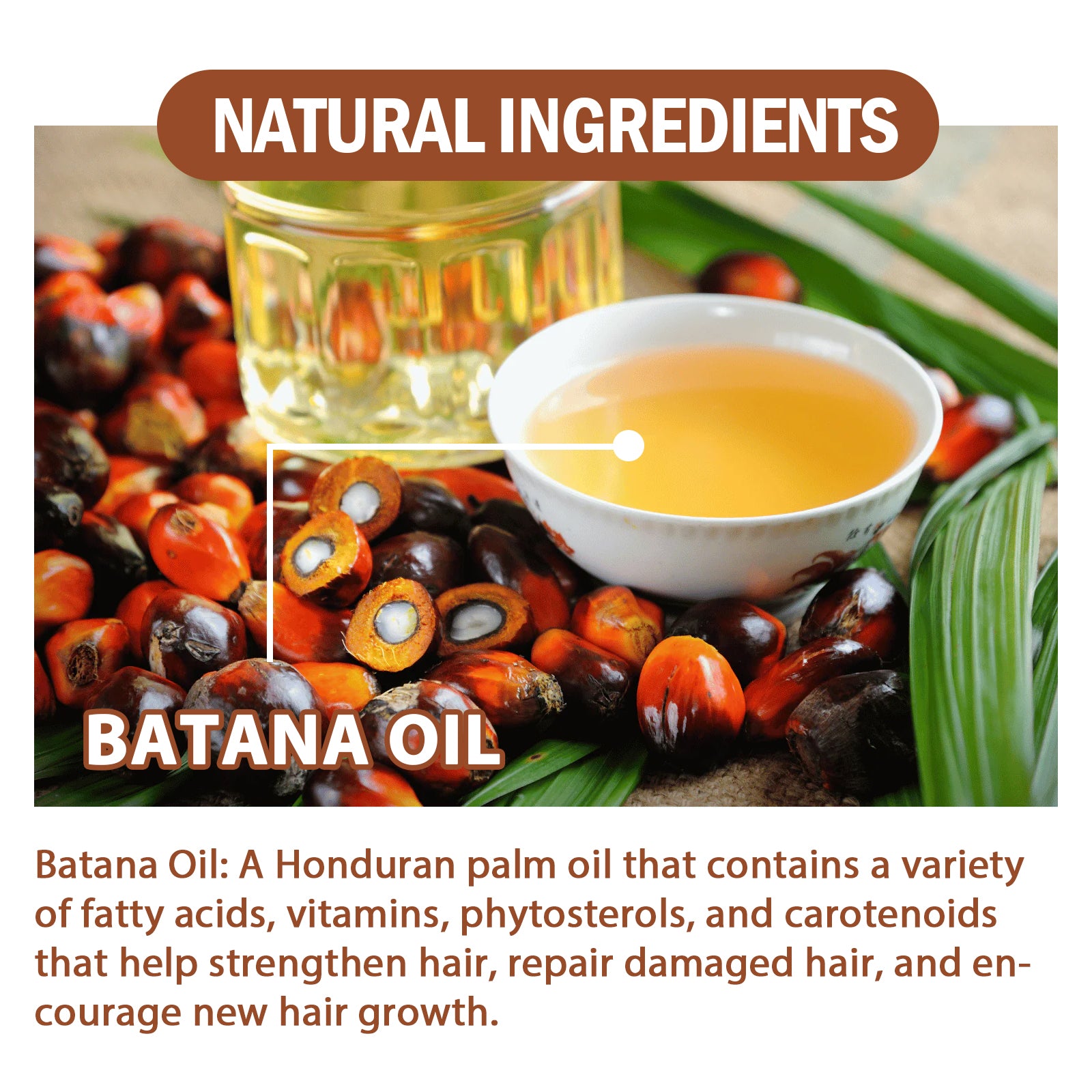 Honduras Batana Oil For Hair Growth, Repairs, Strengthens Hair